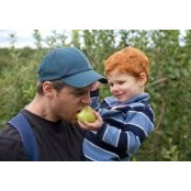 Alexandre Rousseau's photo
