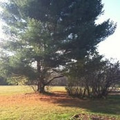 Bernadette Telfare's photo