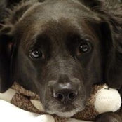 Allison Klee's photo