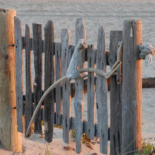 fence