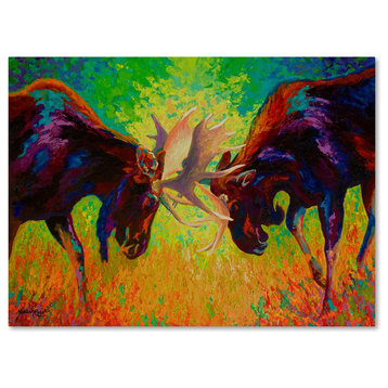Marion Rose 'Just Sparring Moose' Canvas Art, 35" x 47"