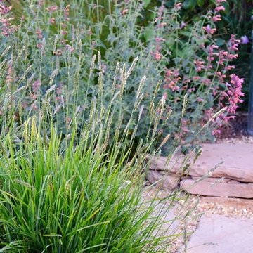 Back Lawn Renovation