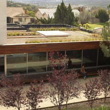 Roof Garden