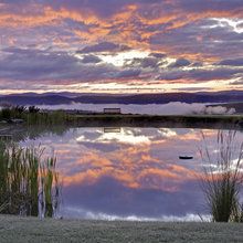 Swimming Ponds
