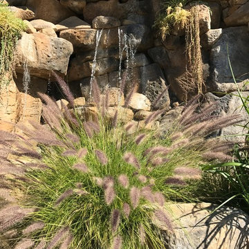 WATER & landscape