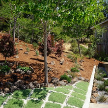 Rock Garden