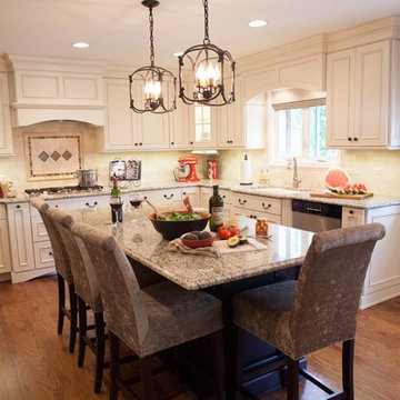 Italian Contemporary Kitchen in Hoffman Estates