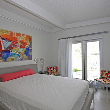Classic Alexander Modern Palm Springs Beauty