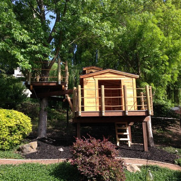 Danville Treehouse