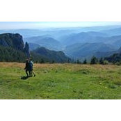 Oana Mihoc's photo