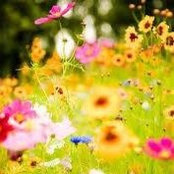 Mary Carnegie's photo