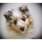 Danielle Swiatek's photo