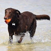 Grace Jove's photo