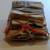 John Luna's photo