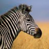 Ben Slusarek's photo