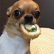 Ju Mele's photo