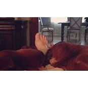 Alisha Stroede's photo