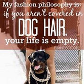Shelby Scott's photo