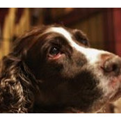 Lois Rosenkrans's photo