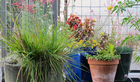 How to Right-Size Your Garden and Simplify Your Life