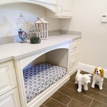 pet space for Jake