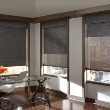 Designer Screen Shades for Home Office