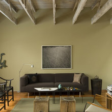 Living Room Ideas