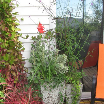 Summer planters