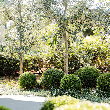 Cronulla - Structured Planting Detail