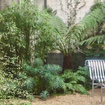 Aménagement paysager d'un patio à Paris