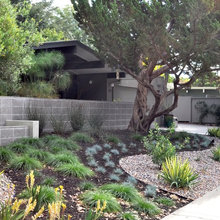 Landscape Ideas