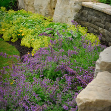 garden design