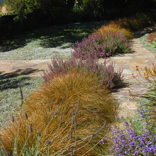 McGee garden