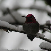 Fiona Linehan's photo
