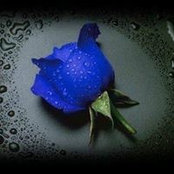 Photo de Mindi Lin Lan