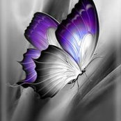 Sheri Shofner's photo