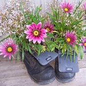 Cynthia David Jones's photo