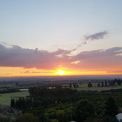 Efrat Regev's photo