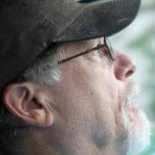 Michael Levitts foto