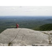 Tom Otto's photo