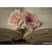 Qian Zhou's photo