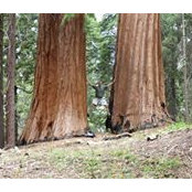 David Bowling's photo
