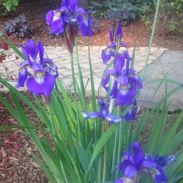 Garden Ponds, Back Yard Ponds, Landscape Ideas, Baltimore County, Maryland (MD)