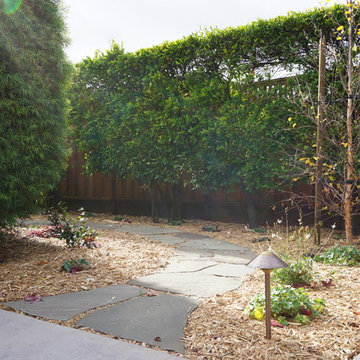 San Jose Ranch Renovation