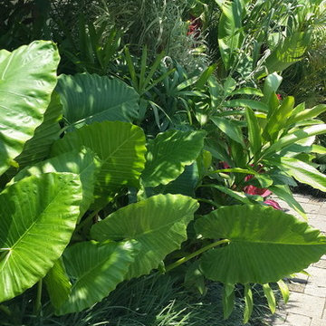 Hawa Sawah, Bali - Tropical Landscape Design