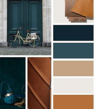 Paleta colores