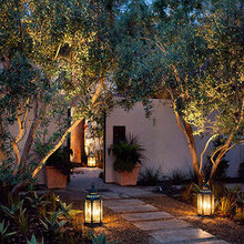 Front Yard Landscaping