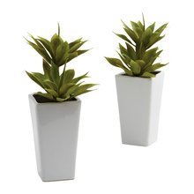 Decor