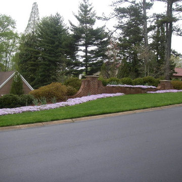 Brick Walls flow down slope. Creeping Phlox colorful in spring.