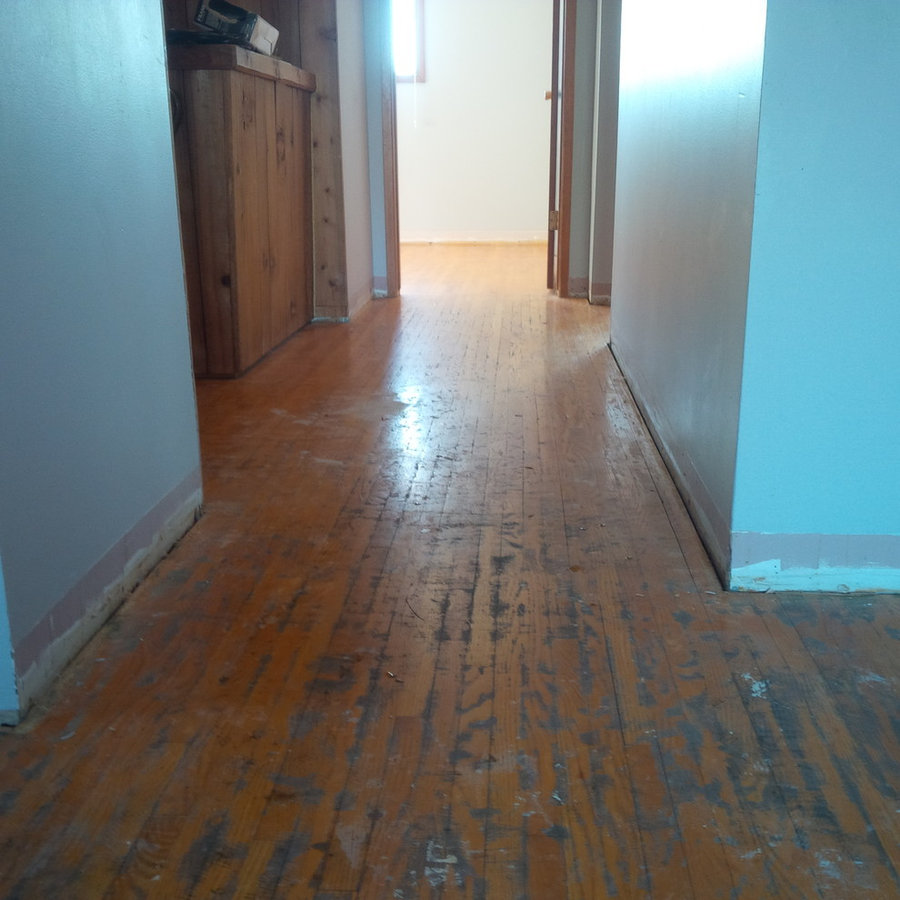 Hardwood Under Old Carpet Refinishing Dimon Hardwood Floors